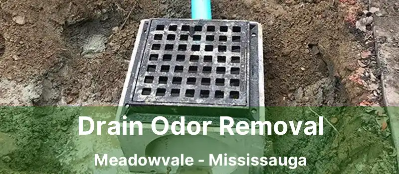  Drain Odor Removal Meadowvale - Mississauga