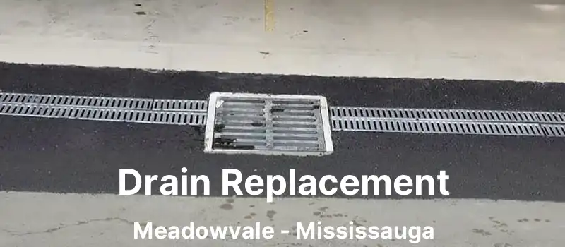  Drain Replacement Meadowvale - Mississauga