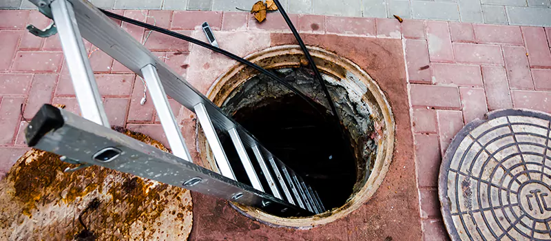 Emergency Sewer Replacement Services in Meadowvale, Mississauga